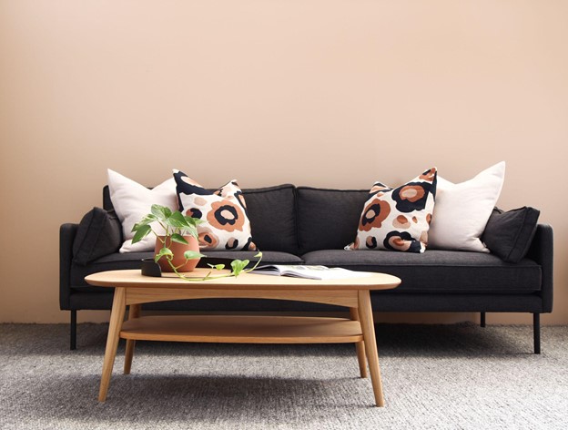 sofa with colour pillow.jpg (59 KB)